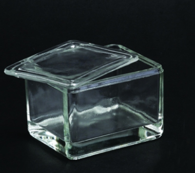 [Citotest] Slide staining jar Papanicolau type with lid