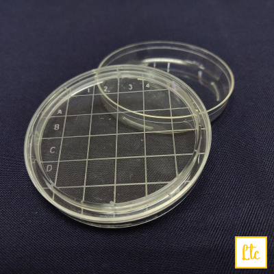Petri dish contact plate (RODAC plate), 65 x 15mm