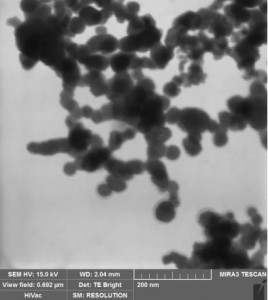 Iron Nanoparticles
