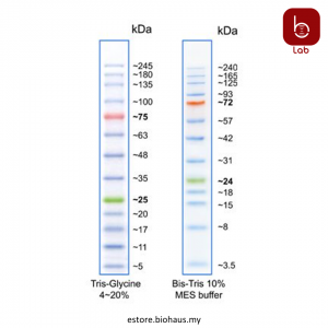 [GeneDirex] BLUelf Prestained Protein Ladder