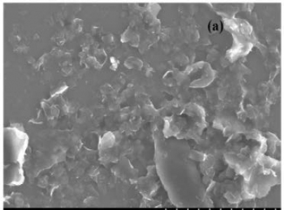 [Nanoshel] Graphene Nanoplatelets