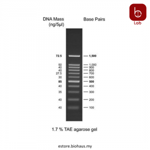 [GeneDirex] 100bpDNA Ladder RTU (Ready-To-Use)