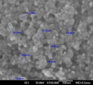 [Nanoshel] Zinc Oxide Nanoparticles